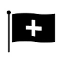 NS favicon